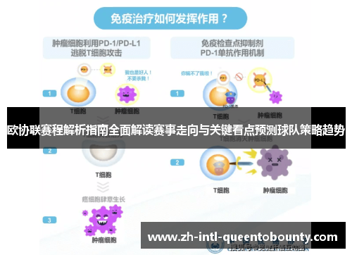 欧协联赛程解析指南全面解读赛事走向与关键看点预测球队策略趋势 欧协联赛程解析指南全面解读赛事走向与关键看点预测球队策略趋势